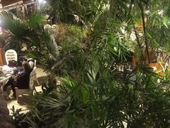 -大鹅岛绿色生态美食园