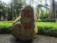 -瑞丽独树成林风景区