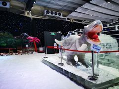 -宁波冰雪大世界(北仑区)