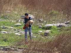 -野三坡清泉山风景区