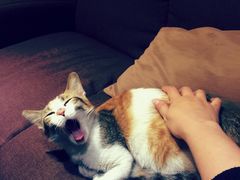 -看书吧(体育东横路店)