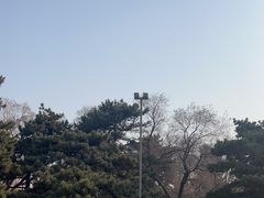 -长春市南湖公园