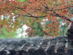 -惠山古镇·寄畅园