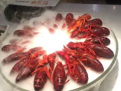 -红盔甲·小龙虾(天钥桥店)