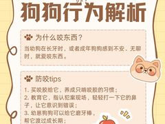 -佩兹宠物医院肿瘤专科·眼科·牙科(黄浦店)