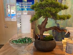 -速8精选酒店(北京三里屯团结湖地铁站店)