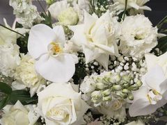 -拾花记花艺·求婚·订婚·生日布置(高新店)
