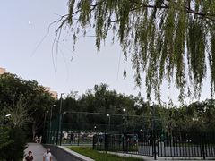 -元大都城垣遗址公园