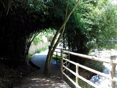 -梁野山景区