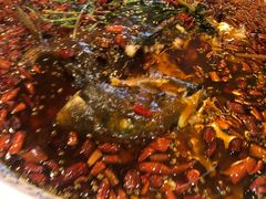 杨记招牌鱼-杨记隆府(白象街店)