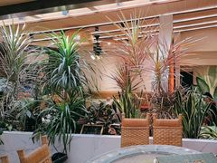 -多哥水傣味餐厅(司马巷店)