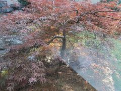 -久宴·天目湖大鱼头(恐龙园店)