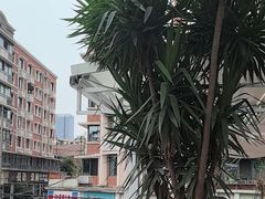 -听香·678茶铺(猛追湾店)
