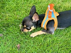 -吉利龙虾·新派海鲜烧烤