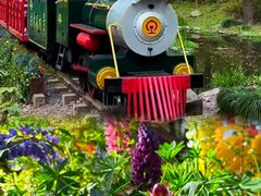 -上海共青森林公园