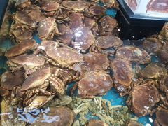俄罗斯帝王蟹-盒马鲜生(皇庭广场店)