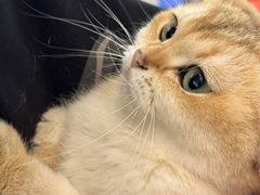 -福田卓悦INTOWN购物中心