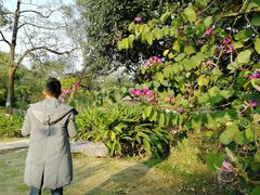 -广西壮族自治区药用植物园