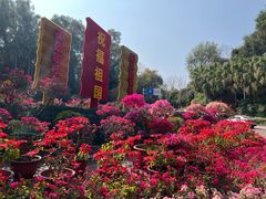 -攀枝花公园