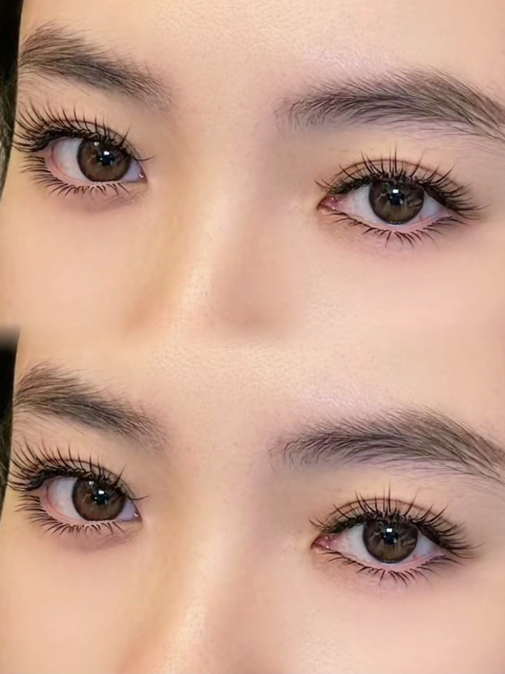 这个睫毛我真的要好好说说