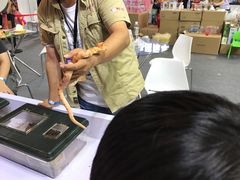 -东浩兰生上海世博展览馆