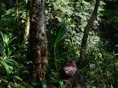 -西岭雪山大飞水景区