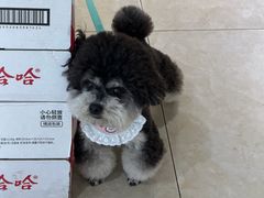 -大家发海鲜城夜排档(华山中路店)