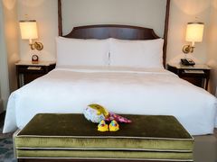 -广州富力丽思卡尔顿酒店