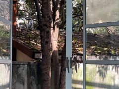 -胶囊画廊