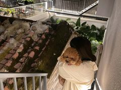 -漫笙舍Manse·咖啡·民宿