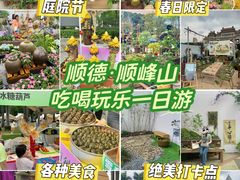 -顺峰山公园