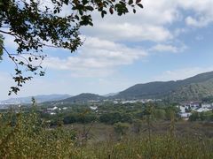 -香雪海