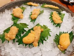 -月龍吟(朝龙汇店)