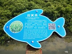 -北海金海湾红树林生态旅游区
