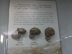-北京周口店北京人遗址博物馆