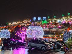 -枇杷园食为鲜火锅(南山店)