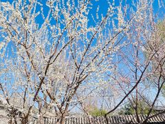 -三里河公园