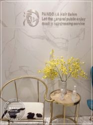 -潘多拉Hairsalon