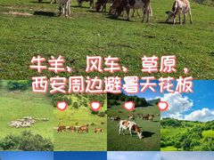 -关山草原