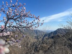 -大岭沟猕猴桃谷风景区