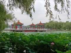 -长春市南湖公园