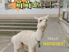 -南山植物园