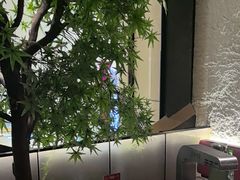 -黑牛の店·黑金店(沈阳万象城店)