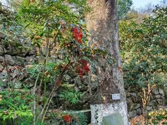 -宁波市保国寺古建筑博物馆