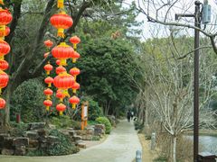 -无锡蠡湖国家湿地公园-蠡园