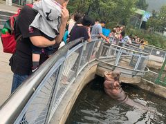 -无锡动物园·太湖欢乐园