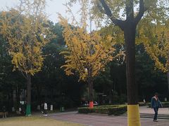 -苏州河梦清园环保主题公园