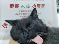 -御宝贝24h宠物医院·转诊中心·CT核磁血透中心(厦门总院)