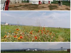 -敕勒川草原文化旅游区