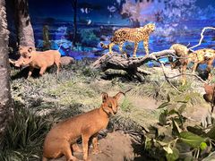 -国家自然博物馆